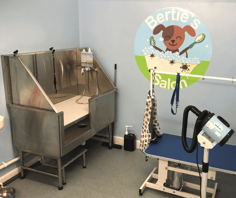 DIY Wash n go at RSPCA Leeds, Wakefield & District Branch