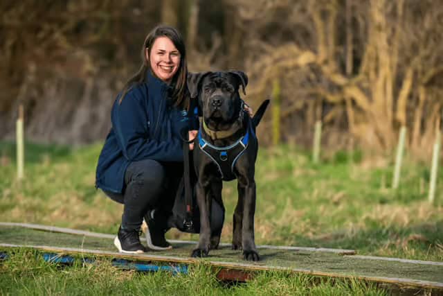 A photo of Megan, our Animal Care Manager and Zeus a dog who was adopted from the RSPCA Leeds, Wakefield & District Branch in 2025