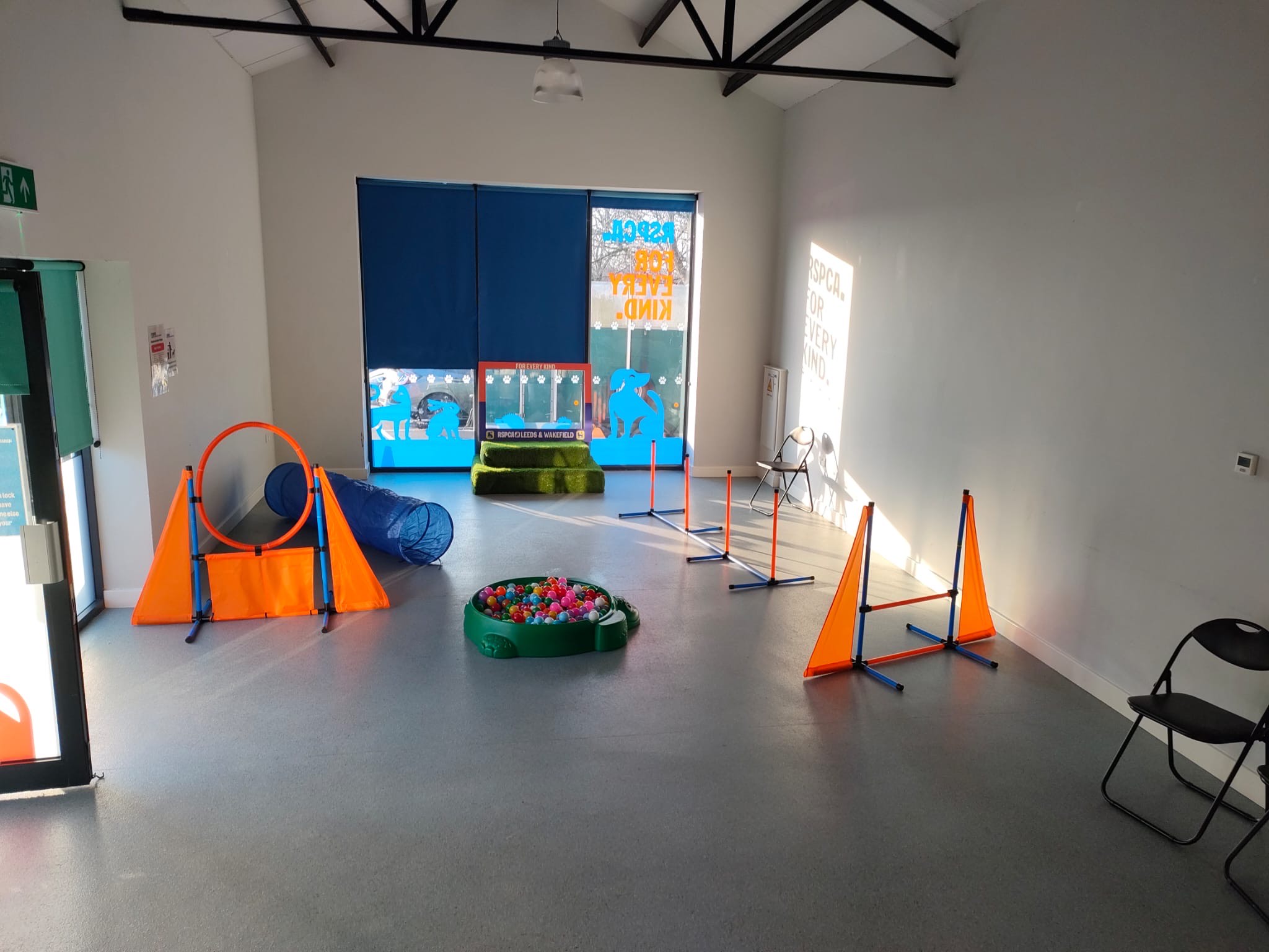 Indoor Playtime at RSPCA Leeds, Wakefield & District Branch