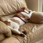Pictures of Tia