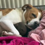 Pictures of Tia