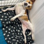 Pictures of Tia