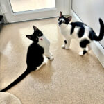 Pictures of Deirdre & Libby