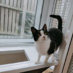 Pictures of Minnie