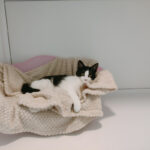 Pictures of Minnie
