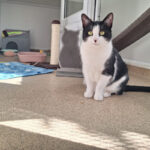 Pictures of Minnie