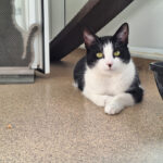 Pictures of Minnie