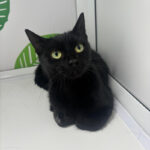 Pictures of Penelope