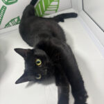 Pictures of Penelope