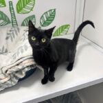 Pictures of Penelope