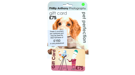 Bombay Sapphire Gin prize for March Lucky Paws raffle - RSPCA Leeds, Wakefield & District Branch